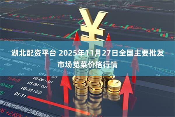 湖北配资平台 2025年11月27日全国主要批发市场苋菜价格行情